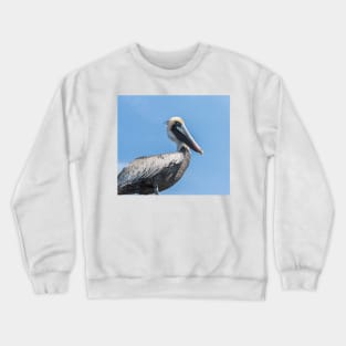 powerful pelican Crewneck Sweatshirt